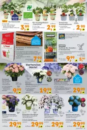 Gazetka promocyjna  - Gazetka - ważna od 08.06 do 08.06.2024 - strona 5 - produkty: auer, beere, beeren, beutel, binden, bio, bio gemüse, Blüte, brombeere, Container, Engel, erde, Garten, Gemüseerde, Girlande, himbeer, himbeere, hortensie, hortensien, hydrangea, hydrangea macrophylla, LG, mac, obst, pflanze, pflanzen, pflanzerde, Rauch, sac, Ti, tomate, tomaten, topf, zitrone, zitronen