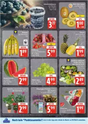 Gazetka promocyjna Edeka - Prospekte - Gazetka - ważna od 03.05 do 03.05.2025 - strona 4 - produkty: beere, beeren, eis, heidelbeere, heidelbeeren, payback, reis, tesa, Ti, tuc, ZTE