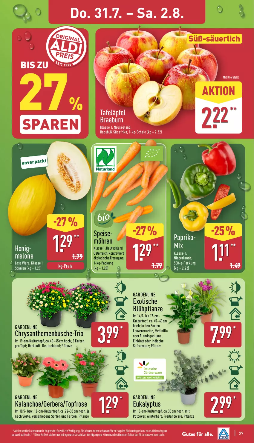 Aktueller Prospekt Aldi Nord - Von Montag - von 28.07 bis 02.08.2025 - strona 27 - produkty: blume, Blüte, Brei, chrysanthemen, eis, Elan, Gerber, gin, honig, HP, Kalanchoe, kulturtopf, melone, möhren, paprika, pflanze, reis, Safran, Schal, Schale, tafeläpfel, Ti, tisch, topf, trolli, ZTE