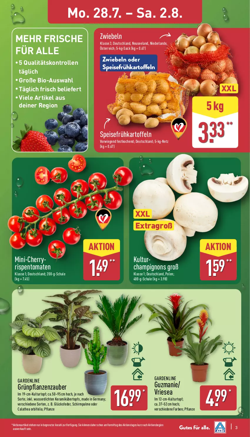 Aktueller Prospekt Aldi Nord - Von Montag - von 28.07 bis 02.08.2025 - strona 3 - produkty: bio, Blüte, Brei, champignon, champignons, eis, Elan, Frühkartoffeln, Germ, gin, Grünpflanzen, kartoffel, kartoffeln, kulturtopf, pflanze, pflanzen, rispentomaten, sac, Schal, Schale, speisefrühkartoffeln, Thea, Ti, tomate, tomaten, topf, übertopf, wasser, ZTE, zwiebel, zwiebeln