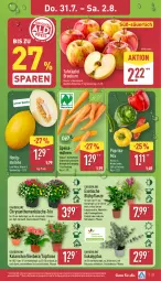 Gazetka promocyjna Aldi Nord - Von Montag - Gazetka - ważna od 02.08 do 02.08.2025 - strona 27 - produkty: blume, Blüte, Brei, chrysanthemen, eis, Elan, Gerber, gin, honig, HP, Kalanchoe, kulturtopf, melone, möhren, paprika, pflanze, reis, Safran, Schal, Schale, tafeläpfel, Ti, tisch, topf, trolli, ZTE