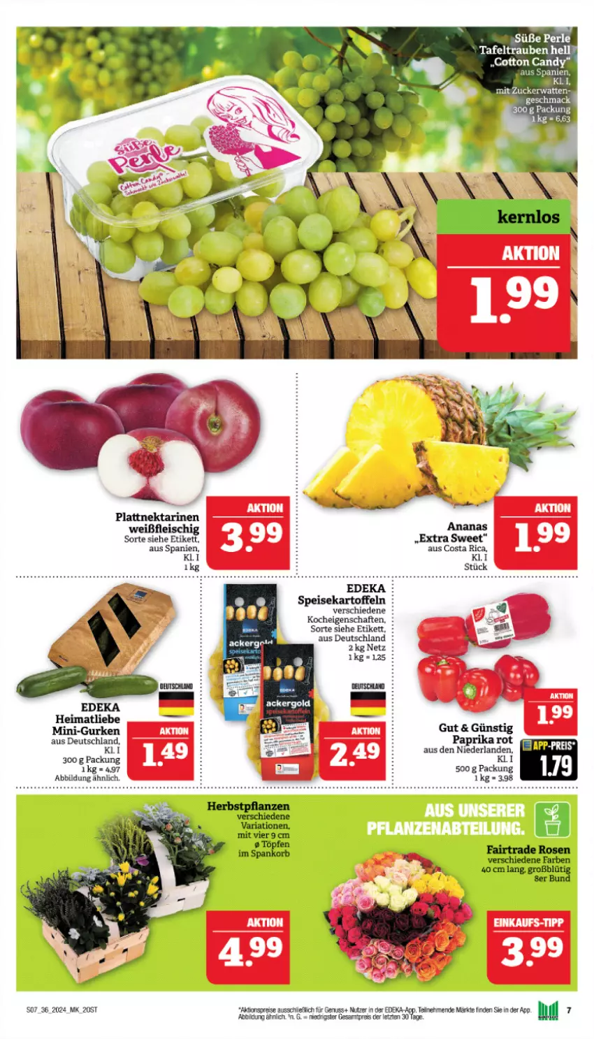 Aktueller Prospekt Marktkauf - Prospekt - von 01.09 bis 07.09.2024 - strona 9 - produkty: ackergold, aktionspreis, ananas, deka, eis, fleisch, nuss, paprika, paprika rot, reis, tafeltrauben, Ti, trauben, ZTE, zucker