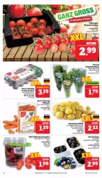 Gazetka promocyjna Marktkauf - Prospekt - Gazetka - ważna od 07.09 do 07.09.2024 - strona 10 - produkty: acer, deka, eier, eimer, eis, Koriander, kräuter, küche, Küchen, minze, möhren, petersilie, pflaume, pflaumen, reis, Ria, ring, rispentomaten, tee, Ti, tomate, tomaten, ZTE