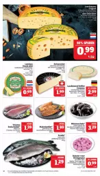 Gazetka promocyjna Marktkauf - Prospekt - Gazetka - ważna od 07.09 do 07.09.2024 - strona 14 - produkty: apfel, Bau, braten, creme, eis, elle, filet, fisch, fleisch, forelle, frischfisch, gewürz, Gewürzgurke, gewürzgurken, gin, gouda, grill, gurke, gurken, halbfester schnittkäse, hering, Herings, holländischer schnittkäse, Käse, lachs, lachsfilet, landkäse, leerdammer, Leuchte, leuchten, mac, Makrele, mayonnaise, milch, Muscheln, natur, ndk, nuss, orange, reis, rel, ring, salat, salz, schnittkäse, schweizer schnittkäse, seelachsfilet, Swizzrocker, Ti, weichkäse, Yo, Zelt, ZTE, zwiebel, zwiebeln