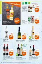 Gazetka promocyjna Tegut - Angebote der Woche - Gazetka - ważna od 13.05 do 13.05.2023 - strona 26 - produkty: alkohol, alkoholische getränke, Astra, auer, bio, Bio-Wein, bioland, blauer zweigelt, brut, champagne, dornfelder, ente, flasche, getränk, getränke, gin, Havana Club, holsten, holsten pilsener, lamm, merl, merlot, monte, Montepulciano, natur, naturland, pils, pilsener, Pinot, Reinigung, riesling, rotwein, Ti, urtyp, vodka, wein, Weißwein, Zweigelt