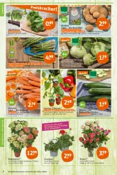 Gazetka promocyjna Tegut - Angebote der Woche - Gazetka - ważna od 13.05 do 13.05.2023 - strona 4 - produkty: angebot, angebote, Bau, bio, bio gemüse, bioland, blume, blumen, dekoration, geranie, geranien, gurke, gurken, hortensie, hortensien, kartoffel, kartoffeln, kohlrabi, möhren, papier, Papiertüte, paprika, pflanze, pflanzen, rosen, salat, salatherzen, spargel, Ti, topf, Tüte, zucchini