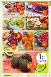 Gazetka promocyjna Tegut - Angebote der Woche - Gazetka - ważna od 13.05 do 13.05.2023 - strona 5 - produkty: ambia, angebot, angebote, avocado, avocados, Bau, beere, beeren, beutel, bio, dekoration, eis, fleisch, frucht, heidelbeere, heidelbeeren, himbeer, himbeere, himbeeren, jonagored, natur, naturland, Nektar, nektarinen, obst, orange, orangen, pflaume, pflaumen, Schal, Schale, Ti, trauben, wein