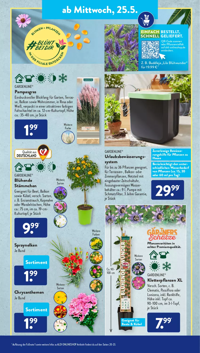 Aktueller Prospekt AldiSud - ALDI Aktuell - von 23.05 bis 28.05.2022 - strona 19 - produkty: aldi, Bau, Behälter, blume, blumen, chrysanthemen, decke, gardenline®, Garten, kulturtopf, Passiflora, pflanze, pflanzen, Rauch, Schal, Sport, Ti, topf, uhr, wasser, ZTE