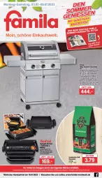 Gazetka promocyjna Famila - Prospekte - Gazetka - ważna od 08.07 do 08.07.2023 - strona 1 - produkty: decke, Deckel, edelstahl, eis, elle, flasche, garraum, gasflaschen, gasgrill, grill, grillfläche, Holz, holzkohle, jever, latte, LG, reis, rel, rösle, saft, Schal, Schale, snack, spülmaschinen, teller, thermometer, Ti, tisch, Weste, Wild