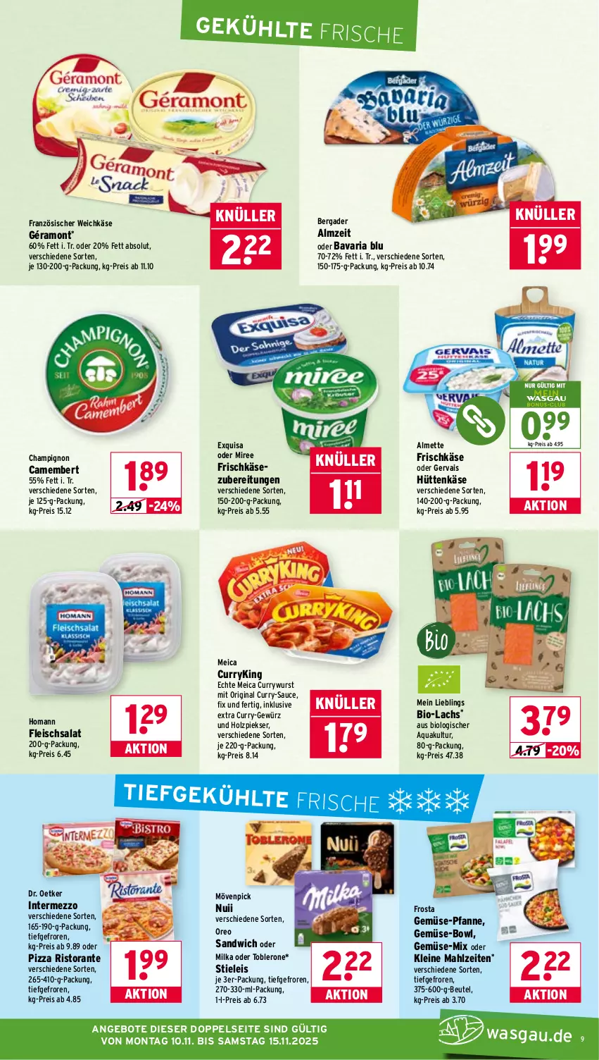 Aktueller Prospekt Wasgau - von 10.11 bis 15.11.2025 - strona 9 - produkty: almette, angebot, angebote, aqua, bavaria blu, bergader, beutel, bio, camembert, champignon, curry, currywurst, Dr. Oetker, eis, exquisa, fleisch, fleischsalat, französischer weichkäse, frischkäse, frischkäsezubereitung, frosta, gemüse-pfanne, géramont, gervais, gewürz, gin, Holz, homann, intermezzo, Käse, lachs, leine, meica, Mett, milka, miree, mövenpick, nuii, oreo, pfanne, pizza, reis, Ria, ristorante, salat, sandwich, sauce, stieleis, Ti, toblerone, weichkäse, wurst