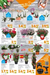 Gazetka promocyjna  - Gazetka - ważna od 11.05 do 11.05.2024 - strona 2 - produkty: auer, Blüte, decke, dip, ente, geranie, geranien, merci, orchidee, orchideen, Pelargonium, pflanze, phalaenopsis, rosen, Sukkulente, topf, übertopf, Yo, ZTE