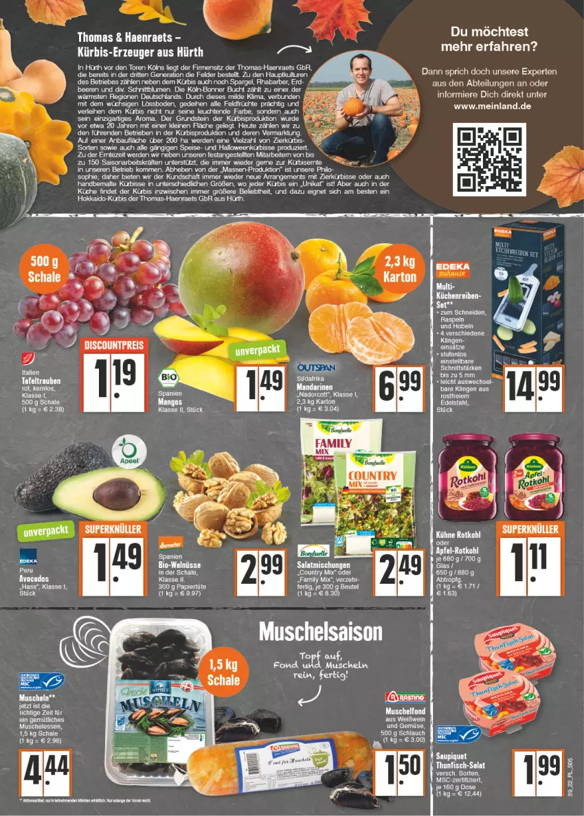 Aktueller Prospekt E Center - Angebote der Woche - von 26.09 bis 01.10.2022 - strona 5 - produkty: Abtei, avocado, avocados, Bau, beere, beeren, beutel, bio, blume, blumen, bonduelle, buch, edelstahl, eis, elle, erde, früchte, Heu, küche, Küchen, Küchenreibe, Kühne, Kürbis, leine, Leuchte, leuchten, mandarine, mandarinen, Muscheln, rhabarber, rotkohl, salat, saupiquet, Schal, Schale, schlauch, spargel, Ti, und gemüse, wein, Weißwein