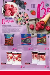 Gazetka promocyjna Selgros - Food - Gazetka - ważna od 17.05 do 17.05.2023 - strona 22 - produkty: backwaren, Becher, beere, beeren, dessert, desserts, eis, erdbeere, erdbeeren, joghur, joghurt, Mixer, schüssel, Soda, stabmixer, zucker