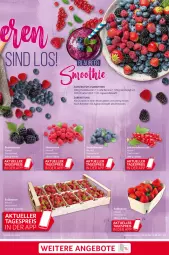 Gazetka promocyjna Selgros - Food - Gazetka - ważna od 17.05 do 17.05.2023 - strona 23 - produkty: agaven, banane, beere, beeren, Blaubeer, dicksaft, heidelbeere, heidelbeeren, joghur, joghurt, milch, Mixer, saft, smoothie, smoothies, vanille