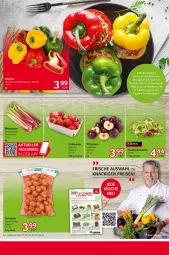 Gazetka promocyjna Selgros - Food - Gazetka - ważna od 02.04 do 02.04.2025 - strona 8 - produkty: beere, beeren, beutel, eis, elle, erdbeere, erdbeeren, pflaume, pflaumen, reis, rhabarber, sac, salat, Schal, Schale, Ti, zwiebel, zwiebeln