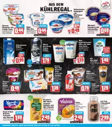 Gazetka promocyjna Hit - Wochenprospekt - Gazetka - ważna od 18.10 do 18.10.2025 - strona 9 - produkty: alpro, arla, arla skyr, aus dem kühlregal, Becher, brötchen, caffè latte, cevapcici, choco fresh, Croissant, croissants, dell, dessert, ehrmann, Ehrmann Grand Dessert, eis, elle, emmi, feinjoghurt, ferrero, flasche, früchte, Garten, hörnchen, joghur, joghurt, Köttbullar, kühlregal, latte, mascarpone, milch, mövenpick, Müller, müllermilch, natur, obst, obstgarten, pudding, rahmjoghurt, regal, reis, sahne, Skyr, Ti, weihenstephan, wiener, ZTE, zucker