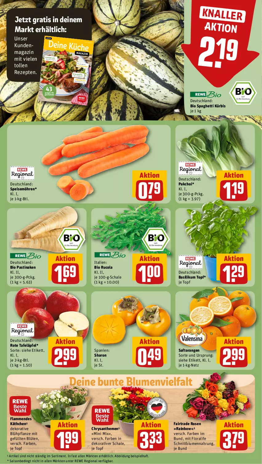 Aktueller Prospekt Rewe - Prospekte - von 23.09 bis 28.09.2024 - strona 11 - produkty: asti, basilikum, bio, blume, blumen, Blüte, chrysanthemen, cola, eis, elle, HP, küche, Kürbis, lamm, magazin, möhren, orange, orangen, pflanze, rezept, rezepte, rosen, rote tafeläpfel, rucola, saft, Saftorangen, Schal, Schale, spaghetti, speisemöhren, tafeläpfel, Ti, topf