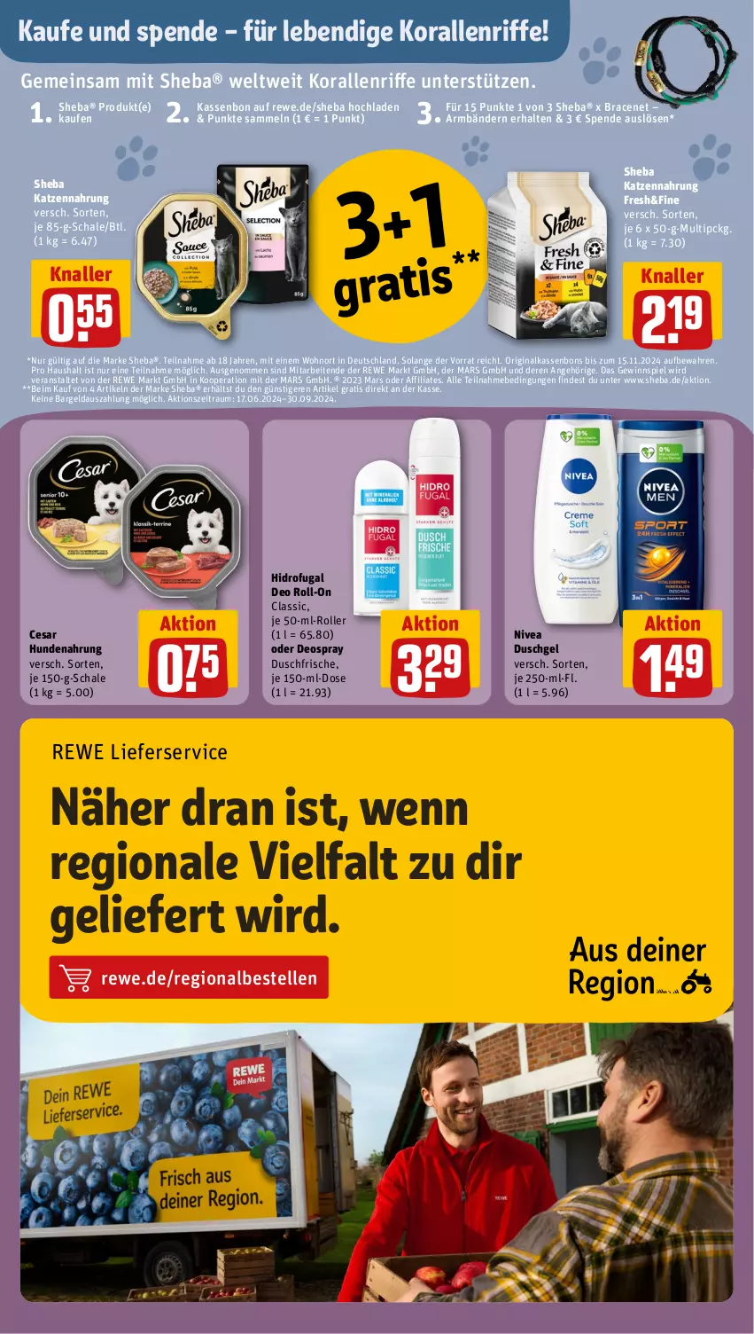 Aktueller Prospekt Rewe - Prospekte - von 23.09 bis 28.09.2024 - strona 18 - produkty: deo, deo roll-on, deospray, duschgel, elle, gewinnspiel, gin, hundenahrung, katzennahrung, lieferservice, mars, nivea, oder deospray, roll-on, Roller, Schal, Schale, sheba, Ti