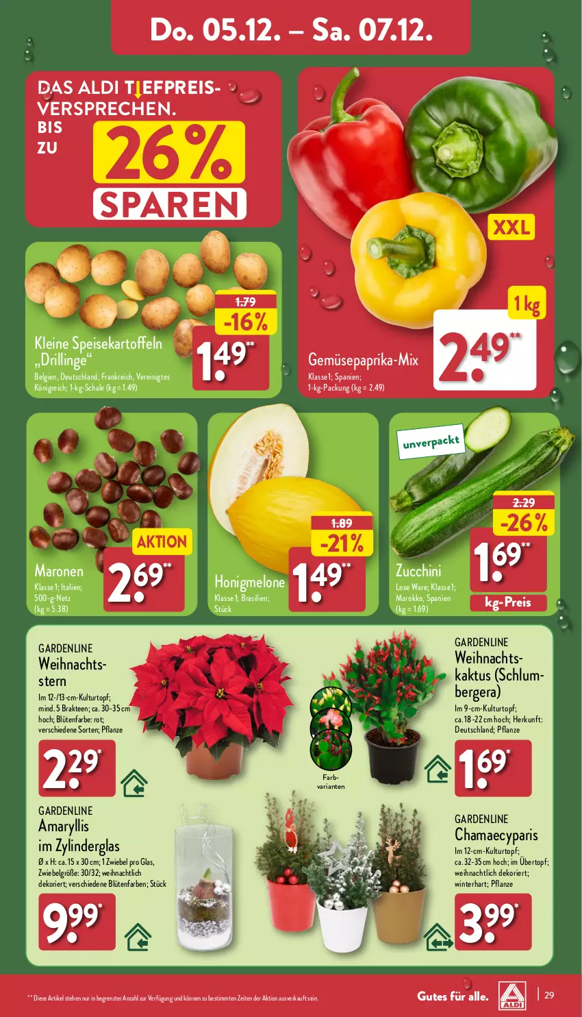 Aktueller Prospekt Aldi Nord - Von Montag - von 02.12 bis 07.12.2024 - strona 29 - produkty: aldi, Berger, Blüte, eis, hama, honig, honigmelone, kartoffel, kartoffeln, kulturtopf, leine, LG, melone, paprika, pflanze, reis, Ria, Schal, Schale, speisekartoffeln, tee, Ti, topf, übertopf, Weihnachtsstern, ZTE, zucchini, zwiebel