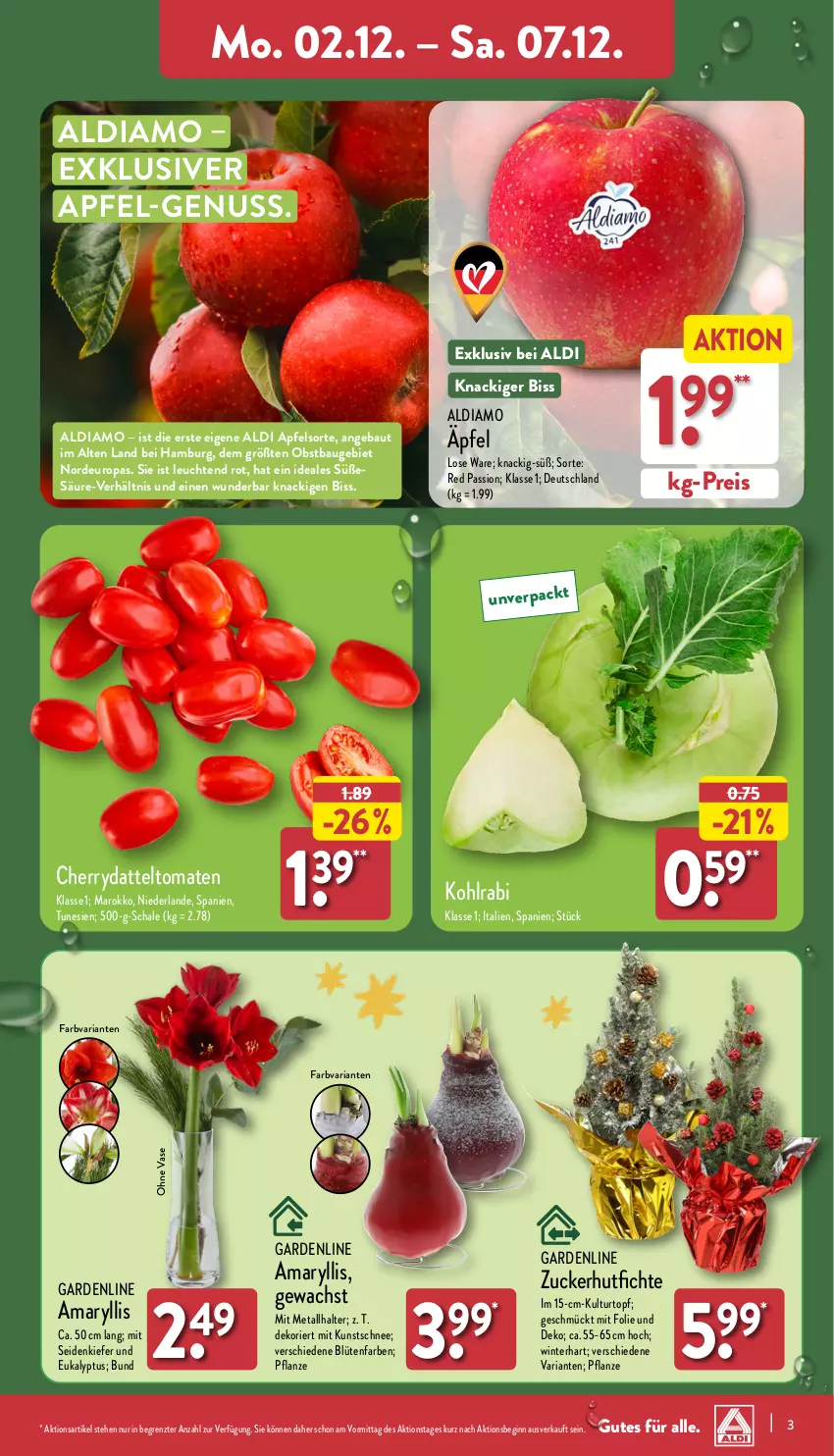 Aktueller Prospekt Aldi Nord - Von Montag - von 02.12 bis 07.12.2024 - strona 3 - produkty: aldi, apfel, Bau, Blüte, datteltomaten, eis, gin, kohlrabi, kulturtopf, Leuchte, leuchten, nuss, obst, pflanze, reis, Ria, Schal, Schale, Ti, tomate, tomaten, topf, Vase, ZTE, zucker