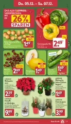 Gazetka promocyjna Aldi Nord - Von Montag - Gazetka - ważna od 07.12 do 07.12.2024 - strona 29 - produkty: aldi, Berger, Blüte, eis, hama, honig, honigmelone, kartoffel, kartoffeln, kulturtopf, leine, LG, melone, paprika, pflanze, reis, Ria, Schal, Schale, speisekartoffeln, tee, Ti, topf, übertopf, Weihnachtsstern, ZTE, zucchini, zwiebel