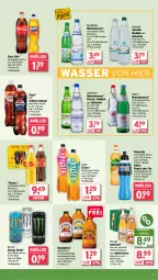 Gazetka promocyjna Wasgau - Gazetka - ważna od 08.03 do 08.03.2025 - strona 19 - produkty: alkohol, Alwa, apfel, apfelsaft, Apfelschorle, Bundaberg, cola, drink, eis, eistee, elle, energy drink, erfrischungsgetränk, flasche, frucht, getränk, hochwald, mineralwasser, monster, Monster Energy, mw-flasche, natur, pepsi, pet-flasche, pfirsich, Rauch, reis, rel, saft, schorle, Schwip Schwap, sinalco, Sprudel, tee, Ti, volvic, wasser, wolle, zitrone