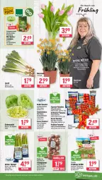 Gazetka promocyjna Wasgau - Gazetka - ważna od 08.03 do 08.03.2025 - strona 9 - produkty: Abtei, Astra, auer, beutel, bio, braun, Cap, champignon, champignons, champignons braun, cocktail, eis, eisbergsalat, florette, grüner spargel, karotten, kopfsalat, Narzissen, obst, pralinen, radieschen, Rauch, reis, riegel, Rubin, salat, Schal, Schale, schnittlauch, spargel, Speisezwiebeln, strauchtomaten, Ti, tomate, tomaten, topf, und gemüse, zwiebel, zwiebeln