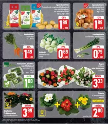 Gazetka promocyjna Edeka - Prospekte - Gazetka - ważna od 27.01 do 27.01.2024 - strona 7 - produkty: eis, kohlrabi, reis, Ti, ZTE