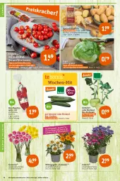 Gazetka promocyjna Tegut - Angebote der Woche - Gazetka - ważna od 23.07 do 23.07.2022 - strona 6 - produkty: angebot, angebote, Bau, bio, Bio-Paprika, bioland, blume, blumen, dekoration, eis, eisbergsalat, Germ, gurke, gurken, kartoffel, kartoffeln, kohlrabi, paprika, pflanze, pflanzen, Rauch, ring, salat, Schal, Schale, speisekartoffeln, strauchtomaten, Ti, tomate, tomaten, topf