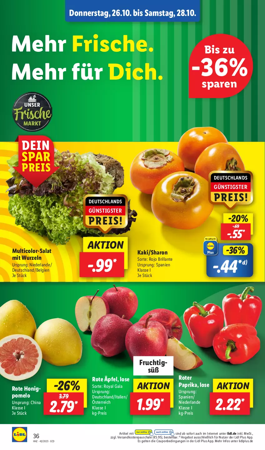 Aktueller Prospekt Lidl - Aktionsprospekt - von 23.10 bis 28.10.2023 - strona 48 - produkty: angebot, coupon, eis, frucht, honig, Kaki, LG, ndk, paprika, Pomelo, reis, salat, Schal, Schale, Ti