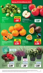 Gazetka promocyjna Lidl - Aktionsprospekt - Gazetka - ważna od 28.10 do 28.10.2023 - strona 3 - produkty: Abtei, angebot, bio, bioland, chrysanthemen, clementinen, discount, eis, frucht, Heidekraut, Kraut, LG, mandarine, mandarinen, passionsfrucht, pflanze, pflanzen, reis, rosen, Rosenkohl, Ti, topf, ZTE