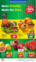 Gazetka promocyjna Lidl - Aktionsprospekt - Gazetka - ważna od 28.10 do 28.10.2023 - strona 48 - produkty: angebot, coupon, eis, frucht, honig, Kaki, LG, ndk, paprika, Pomelo, reis, salat, Schal, Schale, Ti