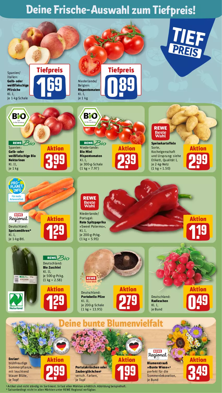 Aktueller Prospekt Rewe - Prospekte - von 10.07 bis 15.07.2023 - strona 9 - produkty: auer, bio, blume, blumen, Blumenstrauß, Blüte, dekoration, eis, erde, fleisch, kartoffel, kartoffeln, Leuchte, leuchten, LG, möhren, Nektar, nektarinen, paprika, pfirsich, pfirsiche, pflanze, pilze, radieschen, reis, rispentomaten, Schal, Schale, speisekartoffeln, speisemöhren, Spitzpaprika, Ti, tiefpreis, tomate, tomaten, topf, zauberglöckchen, zucchini