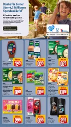 Gazetka promocyjna Rewe - Prospekte - Gazetka - ważna od 15.07 do 15.07.2023 - strona 20 - produkty: axe, axe duschgel, duschdas, duschgel, feinschmecker, hollandaise, kartoffel, ketchup, Kinder, knorr, langnese, lion, mac, pfanni, pfeffer, püree, salat, sauce, sauce hollandaise, schlemmersauce, suppe, Ti, tomate, tomaten, tomaten ketchup