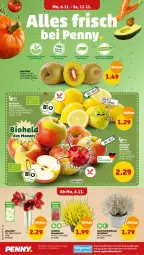 Gazetka promocyjna Penny - Prospekte - Gazetka - ważna od 11.11 do 11.11.2023 - strona 2 - produkty: Draht, eis, fenster, kiwi, pflanze, reis, Ti, topf, ZTE