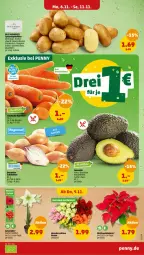 Gazetka promocyjna Penny - Prospekte - Gazetka - ważna od 11.11 do 11.11.2023 - strona 3 - produkty: LG, Schal, Schale, Schalotte, Ti, topf, Weihnachtsstern