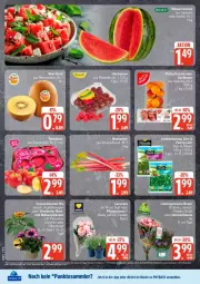 Gazetka promocyjna Edeka - Prospekte - Gazetka - ważna od 23.05 do 23.05.2026 - strona 8 - produkty: aprikose, aprikosen, balkonpflanzen, beere, beeren, blume, blumen, deka, driscoll's, eis, himbeer, himbeere, himbeeren, lavendel, LG, melone, payback, Pfingstrosen, pfirsich, pfirsiche, pfirsiche oder, pflanze, pflanzen, plattpfirsiche, reis, rhabarber, rosen, sonnenblume, sonnenblumen, tesa, Ti, wasser, wassermelone, ZTE