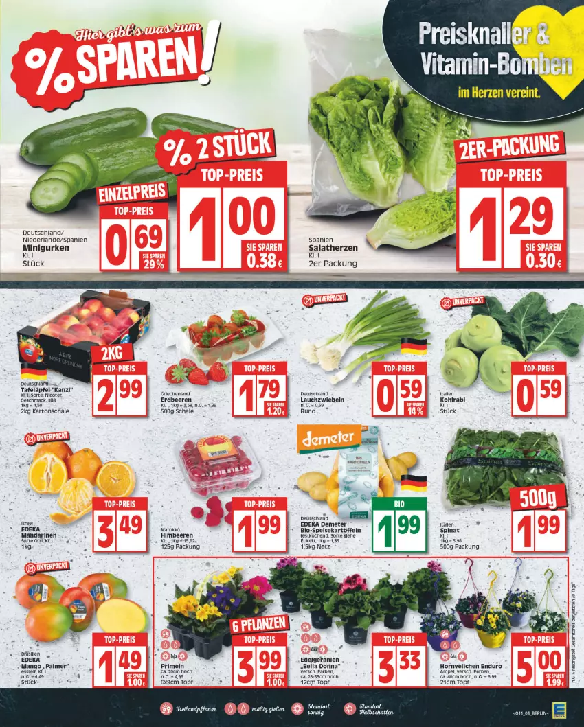 Aktueller Prospekt Edeka - Angebote der Woche - von 13.03 bis 18.03.2023 - strona 3 - produkty: beere, beeren, bio, chia, deka, eis, erdbeere, erdbeeren, geranie, geranien, gurke, gurken, himbeer, himbeere, himbeeren, kartoffel, kartoffeln, kohlrabi, Lauchzwiebel, lauchzwiebeln, LG, mac, mango, Primeln, reis, salat, salatherzen, Schal, Schale, tafeläpfel, Ti, topf, ZTE, zwiebel, zwiebeln