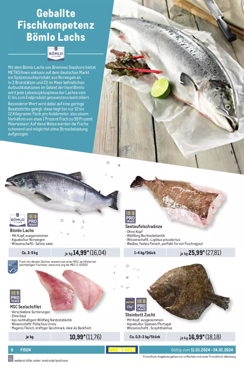 Aktueller Prospekt Metro - GastroJournal - von 11.01 bis 24.01.2024 - strona 6 - produkty: Abtei, angebot, angebote, aqua, backfisch, ball, brut, eis, erde, filet, fisch, fische, Fischer, fleisch, frischfisch, lachs, lachsfilet, mac, Meerwasser, Metro, Ragout, ring, rwe, Schere, seelachsfilet, Ti, trolli, wasser, Wild