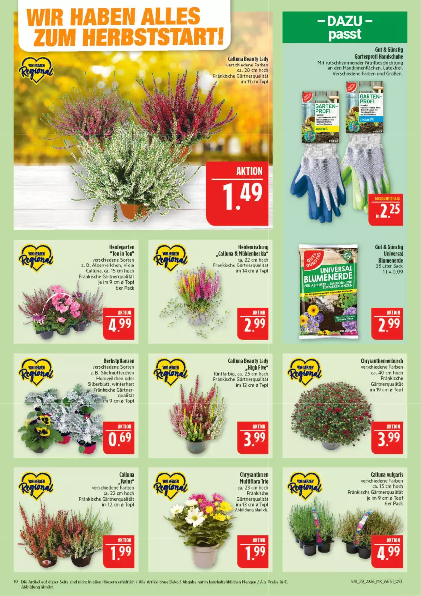 Aktueller Prospekt Marktkauf - Prospekt - von 20.09 bis 26.09.2026 - strona 10 - produkty: blume, blumen, blumenerde, chrysanthemen, eis, erde, Garten, handschuhe, LG, pflanze, pflanzen, reis, sac, schuhe, Ti, topf, Yo