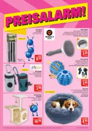 Gazetka promocyjna Marktkauf - Prospekt - Gazetka - ważna od 26.09 do 26.09.2026 - strona 36 - produkty: aust, ball, Bau, bett, beutel, Brei, bürste, eis, ente, erde, Intel, Kratzbaum, reis, Ria, rwe, Stier, Ti, Tiere, tisch