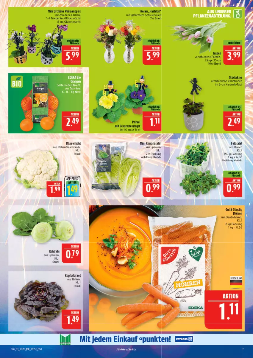 Aktueller Prospekt Marktkauf - Prospekt - von 28.12.2025 bis 03.01.2026 - strona 7 - produkty: blume, blumen, blumenkohl, eier, feldsalat, glücksklee, kohlrabi, kopfsalat, Kraut, möhren, orchidee, phalaenopsis, Ria, Romanasalat, rosen, salat, Schornsteinfeger, Ti, topf, würfel