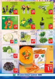 Gazetka promocyjna Marktkauf - Prospekt - Gazetka - ważna od 03.01 do 03.01.2026 - strona 7 - produkty: blume, blumen, blumenkohl, eier, feldsalat, glücksklee, kohlrabi, kopfsalat, Kraut, möhren, orchidee, phalaenopsis, Ria, Romanasalat, rosen, salat, Schornsteinfeger, Ti, topf, würfel