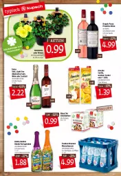 Gazetka promocyjna Kupsch - Angebote der Woche - Gazetka - ważna od 31.12 do 31.12.2021 - strona 4 - produkty: alkohol, Alwa, amecke, brunnen, cocktail, doppio passo, flasche, franken brunnen, getränk, glücksklee, keks, kekse, Kinder, mineralwasser, passo, primitivo, ring, robby, säfte, Schornsteinfeger, sekt, Ti, topf, wasser, wein, zucker