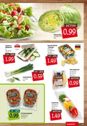 Gazetka promocyjna Kupsch - Angebote der Woche - Gazetka - ważna od 31.12 do 31.12.2021 - strona 7 - produkty: bio, cherrytomaten, eis, eisbergsalat, gurke, gurken, kartoffel, kartoffeln, Lauchzwiebel, lauchzwiebeln, paprika, paprika mix, salat, Schal, Schale, speisekartoffeln, Ti, tomate, tomaten, zwiebel, zwiebeln