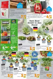 Gazetka promocyjna  - Gazetka - ważna od 25.05 do 25.05.2024 - strona 5 - produkty: ananas, auer, beutel, binden, bio, dünger, Engel, ente, Erdbeerpflanze, erde, flasche, flüssigdünger, frucht, Gemüseerde, gurke, gurken, kirsch, kirsche, kirschen, LG, mac, mais, mit frucht, paprika, pflanze, pflanzen, pflanzerde, popcorn, Rauch, Ria, sac, saft, salat, Schal, Schale, Ti, tomate, tomaten, topf, und gemüse, zitrone, zitronen, zucker