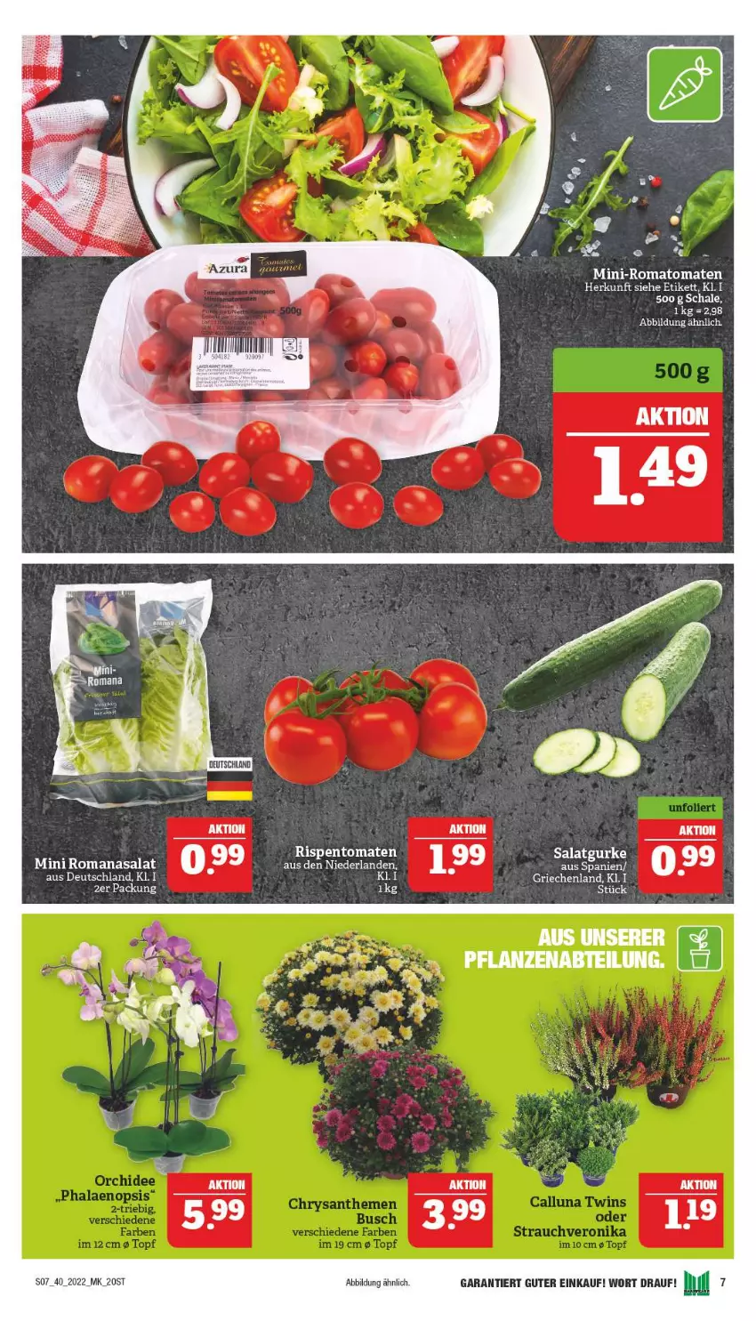 Aktueller Prospekt Marktkauf - Prospekt - von 02.10 bis 08.10.2022 - strona 11 - produkty: gurke, Romanasalat, Romatomaten, salat, Salatgurke, Schal, Schale, Ti, tomate, tomaten