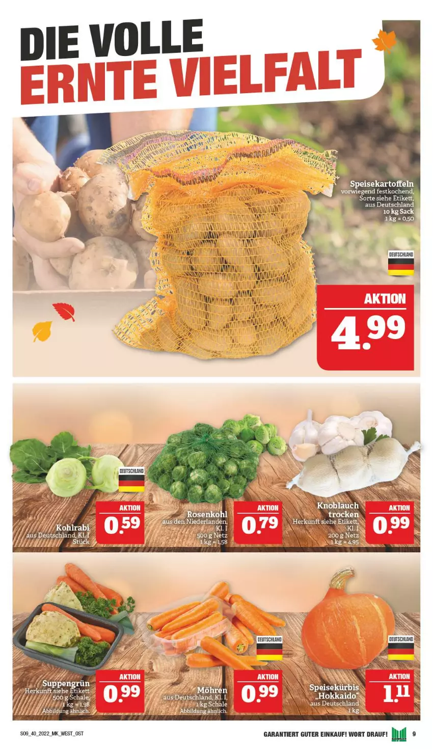 Aktueller Prospekt Marktkauf - Prospekt - von 02.10 bis 08.10.2022 - strona 13 - produkty: ACC, eier, eis, Kürbis, rosen, Ti