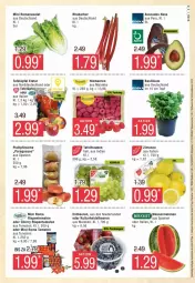 Gazetka promocyjna Edeka - Prospekte - Gazetka - ważna od 04.05 do 04.05.2024 - strona 5 - produkty: avocado, avocados, basilikum, beere, beeren, erdbeere, erdbeeren, heidelbeere, heidelbeeren, himbeer, himbeere, himbeeren, melone, melonen, paraguayos, pfirsich, pfirsiche, plattpfirsiche, rhabarber, rispentomaten, Romanasalat, salat, tafeläpfel, tafeltrauben, tomate, tomaten, topf, trauben, wasser, wassermelone, wassermelonen, Yo, zitrone, zitronen