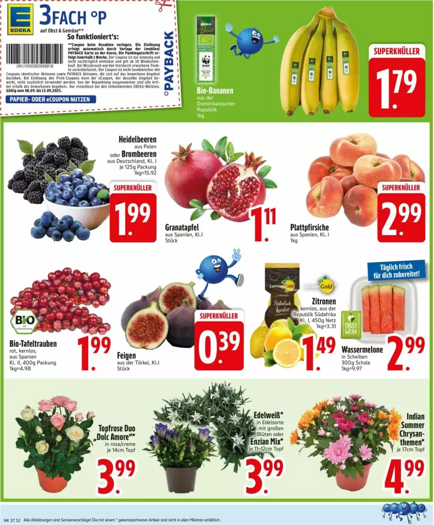 Aktueller Prospekt Edeka - Prospekte - von 08.09 bis 13.09.2025 - strona 4 - produkty: angebot, apfel, beere, beeren, bio, brombeere, brombeeren, coupon, coupons, creme, deka, erde, Feigen, gin, grana, granatapfel, heidelbeere, heidelbeeren, LG, melone, obst, papier, payback, pfirsich, pfirsiche, plattpfirsiche, Rana, Rauch, rwe, Schal, Schale, tafeltrauben, Ti, tisch, topf, trauben, wasser, wassermelone, zitrone, zitronen